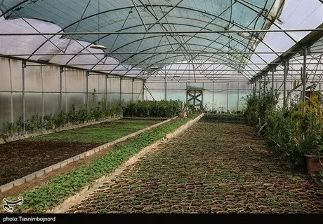 تصویر 2 از قیمت خرید پلاستیک ضخیم گلخانه ای + فروش ویژه